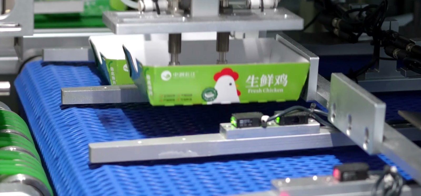 小鲜盒生鲜鸡在包装线上