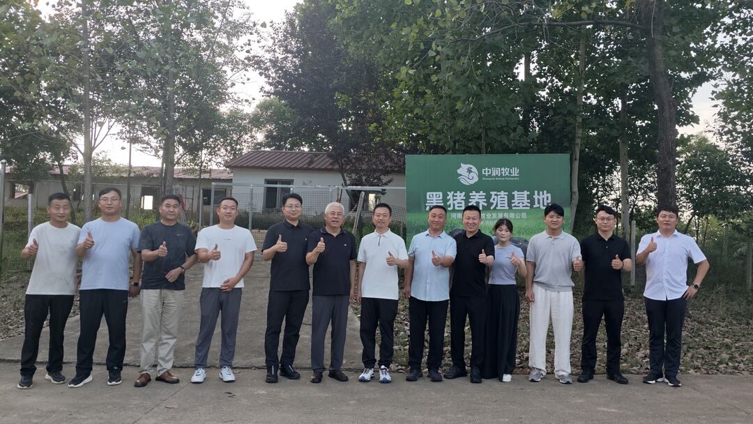 中润牧业黑猪养殖基地