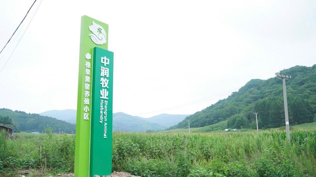 吉林长白山脚下，中润牧业橡果黑猪养殖小区的绿色立牌