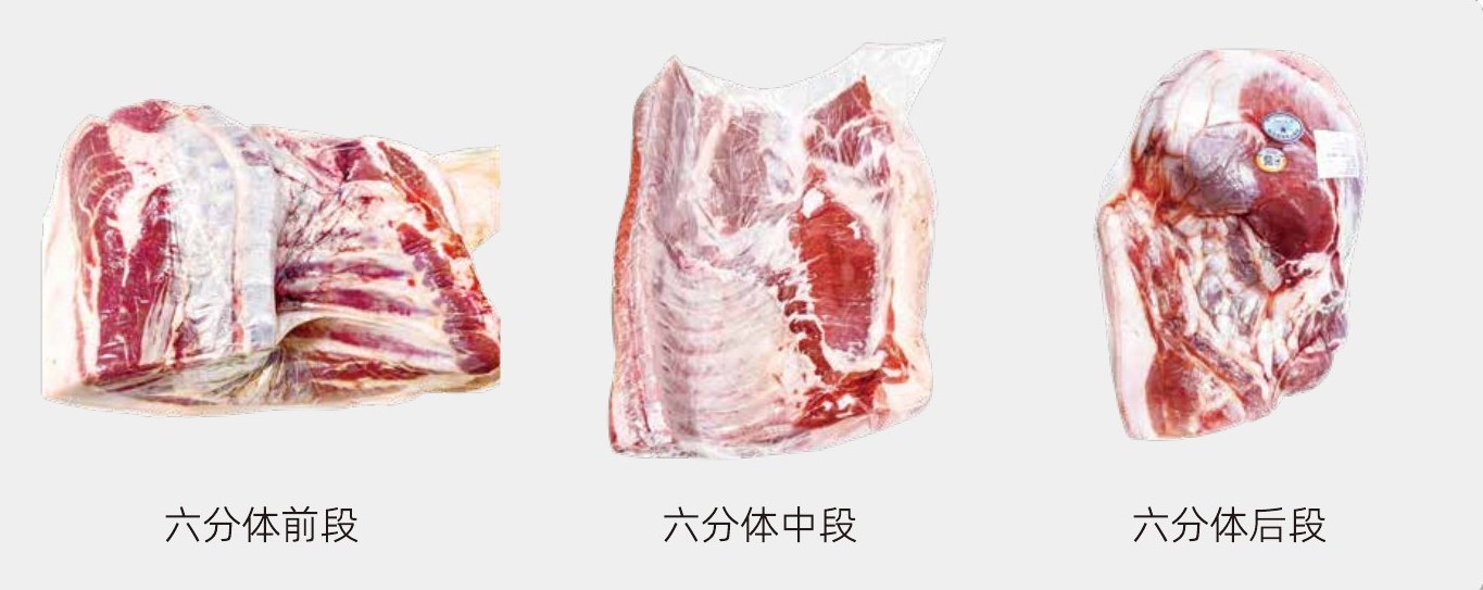 真空热缩系列 · 六分体前段、中段、后段